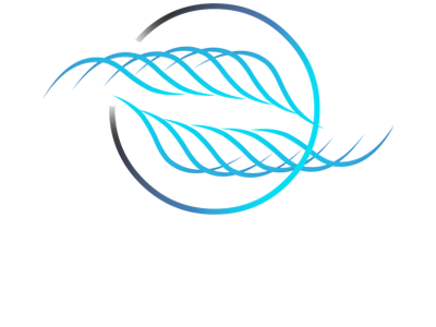 Lumex Engineering